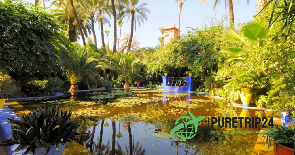 Discover the Enchantment of Jardin Majorelle A Must-Visit Oasis in Marrakech