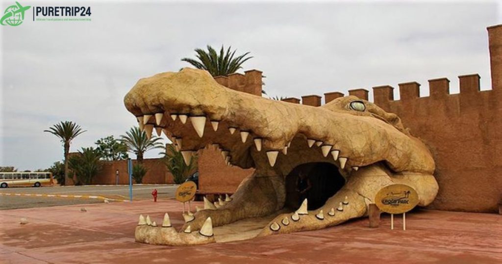 Best Crocoparc Agadir: Morocco's Premier Park in 2024