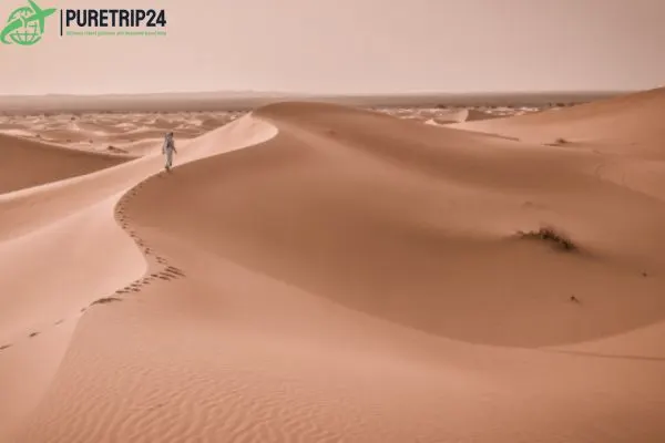 Explore the Sahara Desert: Fashion, Culture, in 2024