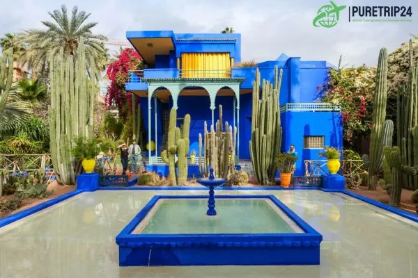 Discover Jardin Majorelle: Marrakech's Iconic Garden in 2024