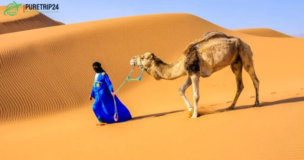 Morocco Desert Sahara Tours: & Culture in the Sahara 2024