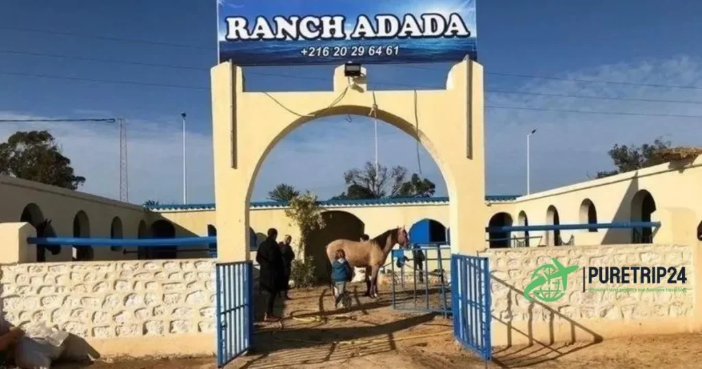 Ranch Adada Djerba: A blend between tradition and fashion artists