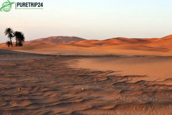 Explore the Sahara Desert: Fashion, Culture, in 2024