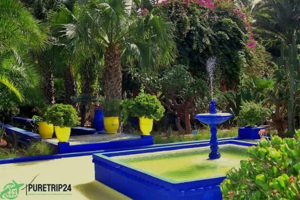 Discover Jardin Majorelle: Marrakech's Iconic Garden in 2024