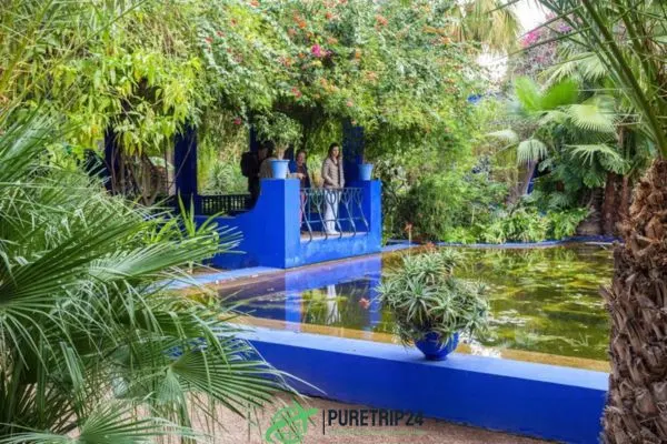 Discover Jardin Majorelle: Marrakech's Iconic Garden in 2024