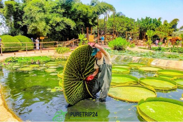 Best Crocoparc Agadir: Morocco's Premier Park in 2024