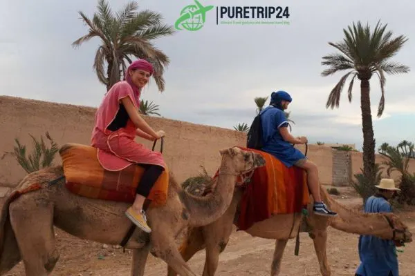 Chameau Marrakech: in2024 Camel Rides and Desert Adventures