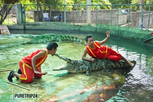 Best The Crocodile Farm: Fashion & Adventure Guide in 2024