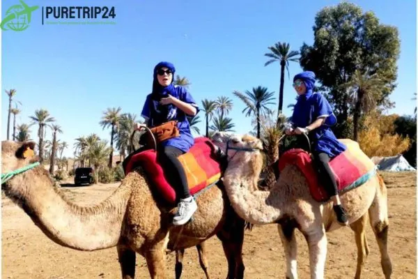 Chameau Marrakech: in2024 Camel Rides and Desert Adventures