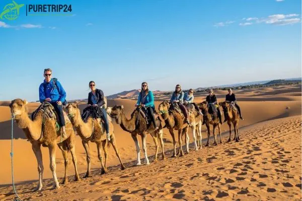 Morocco Desert Sahara Tours: & Culture in the Sahara 2024