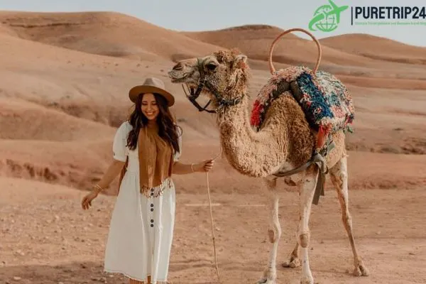 Chameau Marrakech: in2024 Camel Rides and Desert Adventures