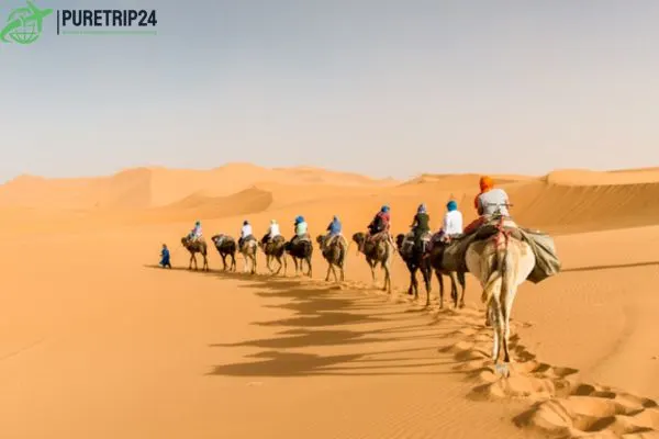 Morocco Desert Sahara Tours: & Culture in the Sahara 2024