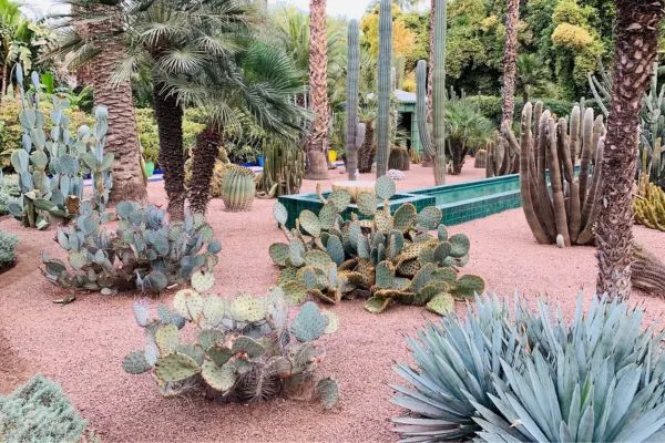 Discover Jardin Majorelle: Marrakech's Iconic Garden in 2024