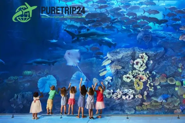 Visiting the Dubai Aquarium and Underwater Zoo Guide | PureTrip24 com