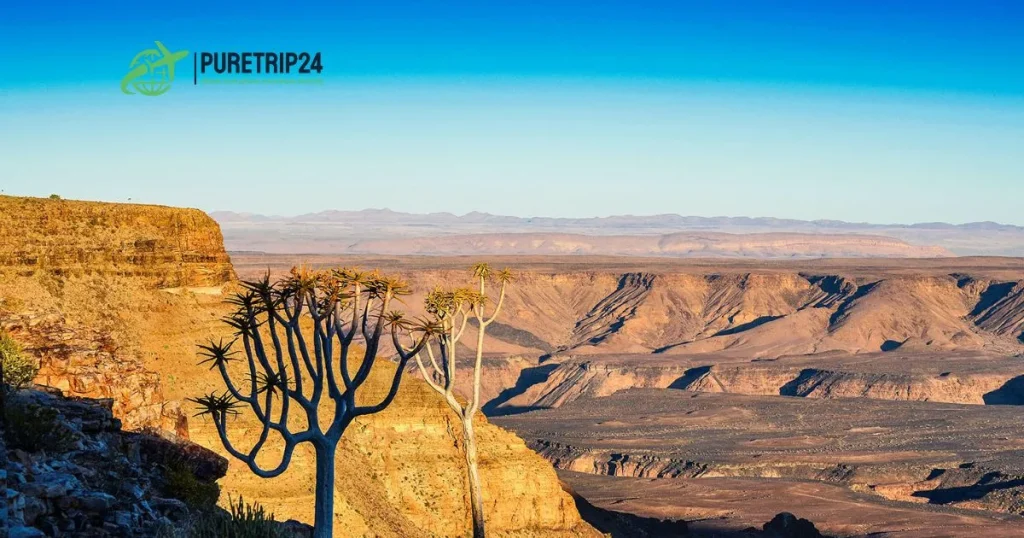 A complete Guide To Visit Fish River Canyon, Namibia at PureTrip24. com