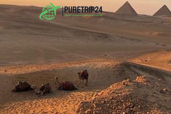 LE QUELL ELITE, Egypt | All you need to know to visit right now. PureTrip24 com