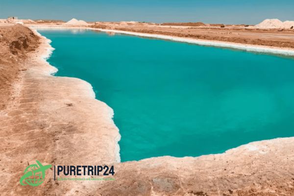 The Complete Guide to Siwa Oasis, Egypt | PureTrip24