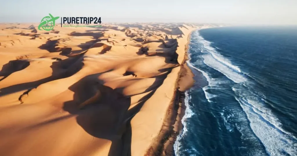 Ultimate Guide to Visit Skeleton Coast National Park, Namibia at PureTrip24com