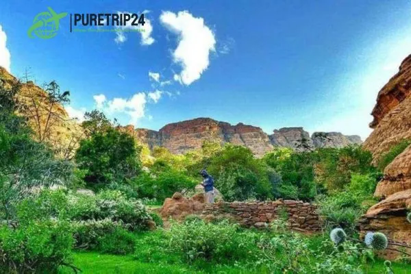 The complete guide to Taif, Saudi Arabia at Puretrip24. com