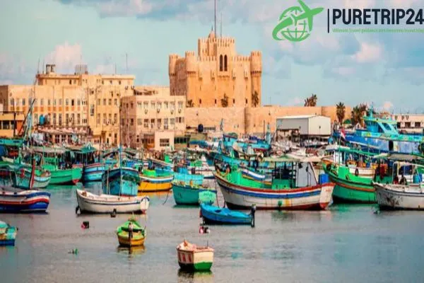 Tour to Alexandria from Cairo by Car: Your Ultimate Travel