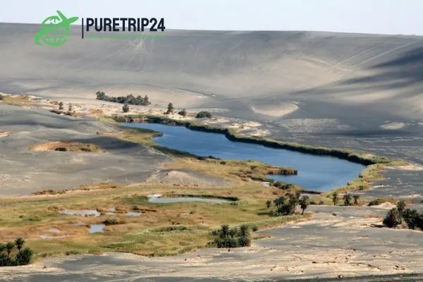 Waw an Namus, Libya at PureTrip24 Travel Guide