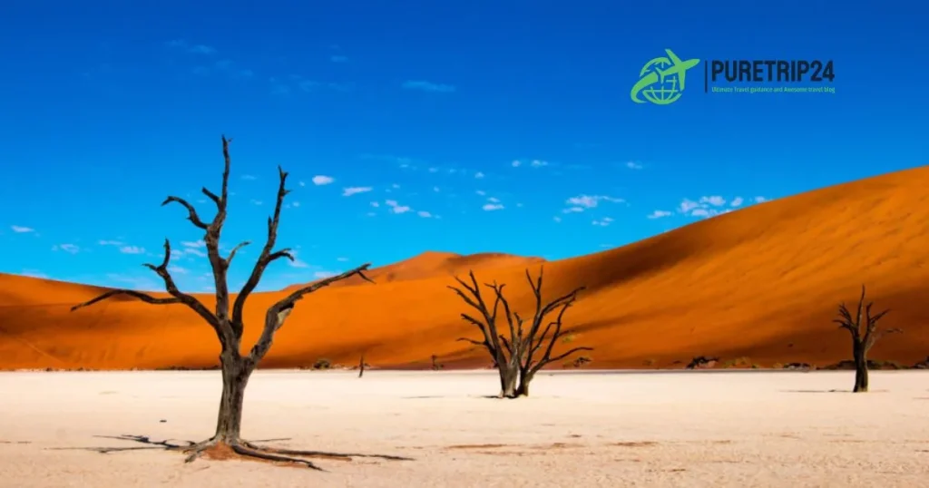 Full Guide to Sossusvlei, Namibia at Puretrip24com