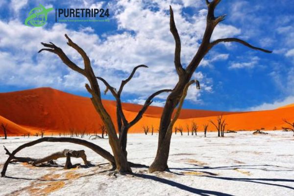 Full Guide to Sossusvlei, Namibia at Puretrip24com