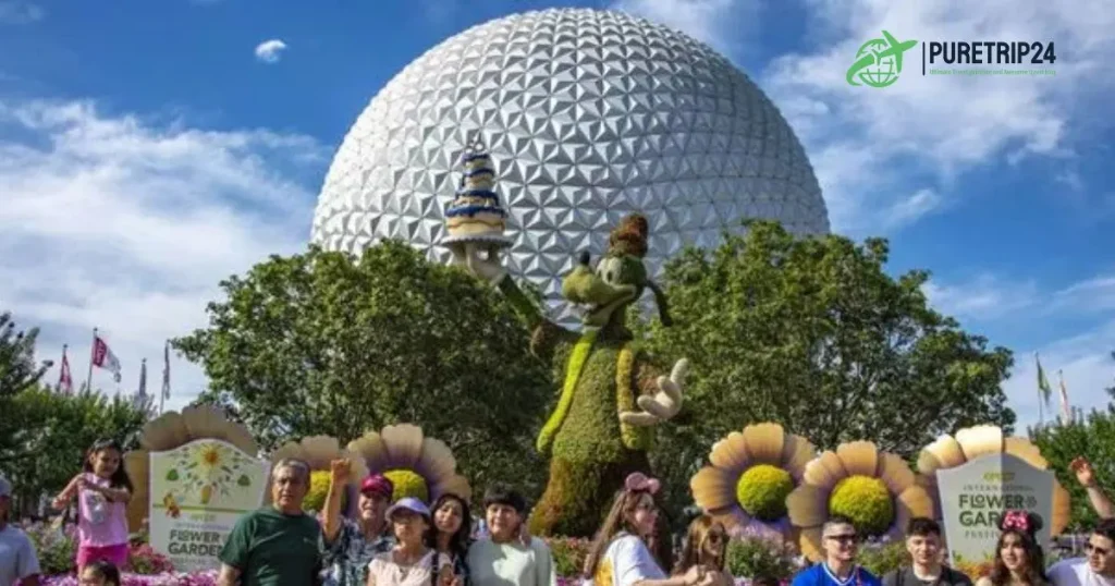 Our Ultimate Guide—Why You Must Visit EPCOT, a Disney Theme Park | Puretrip.com