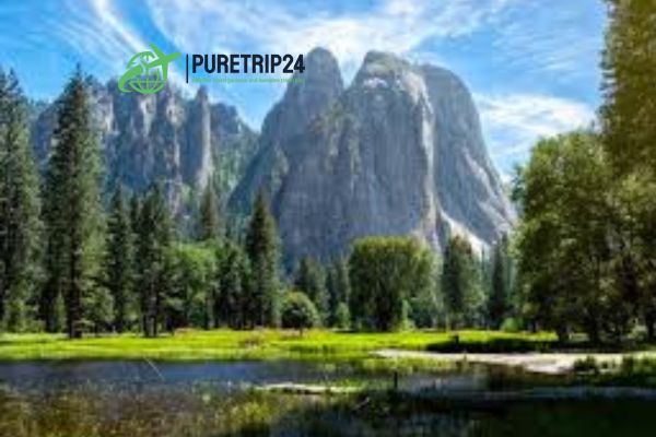 The Ultimate Yosemite National Park Guide, USA | Puretrip24