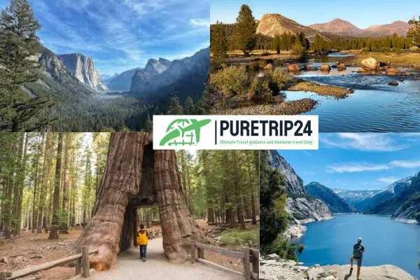 The Ultimate Yosemite National Park Guide, USA | Puretrip24